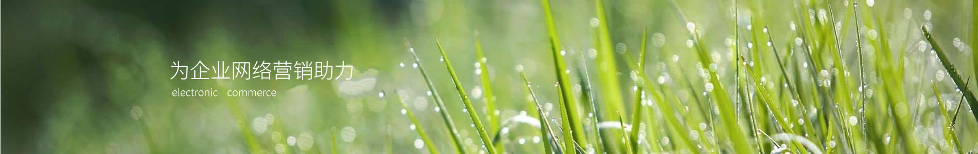 ŶƼ޹˾